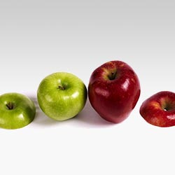 Ladeneinrichtungen im Lebensmittelhandel Lebensmittel Ladeneinrichtungen